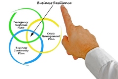 Resilience